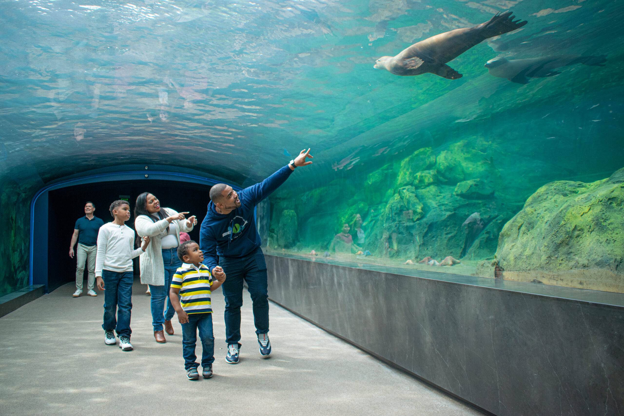 sea lion tunnel