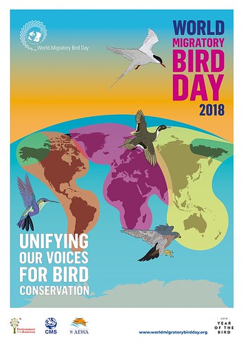 World Migratory Bird Day