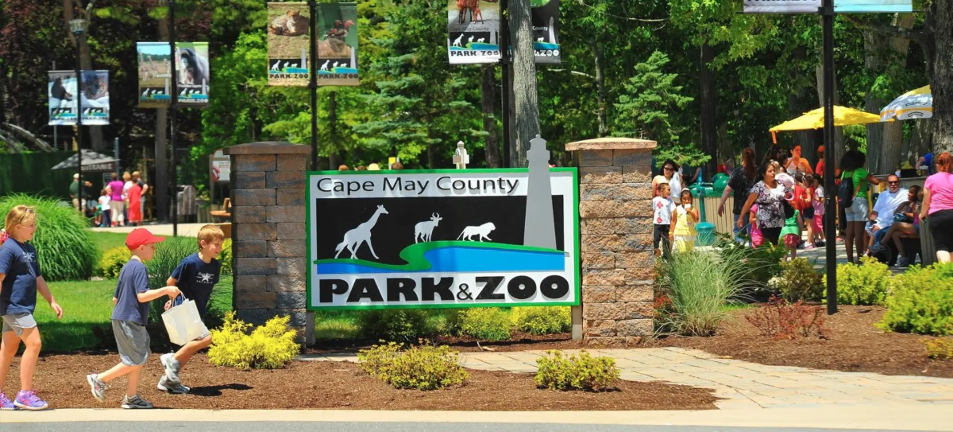 cape may county park zoo