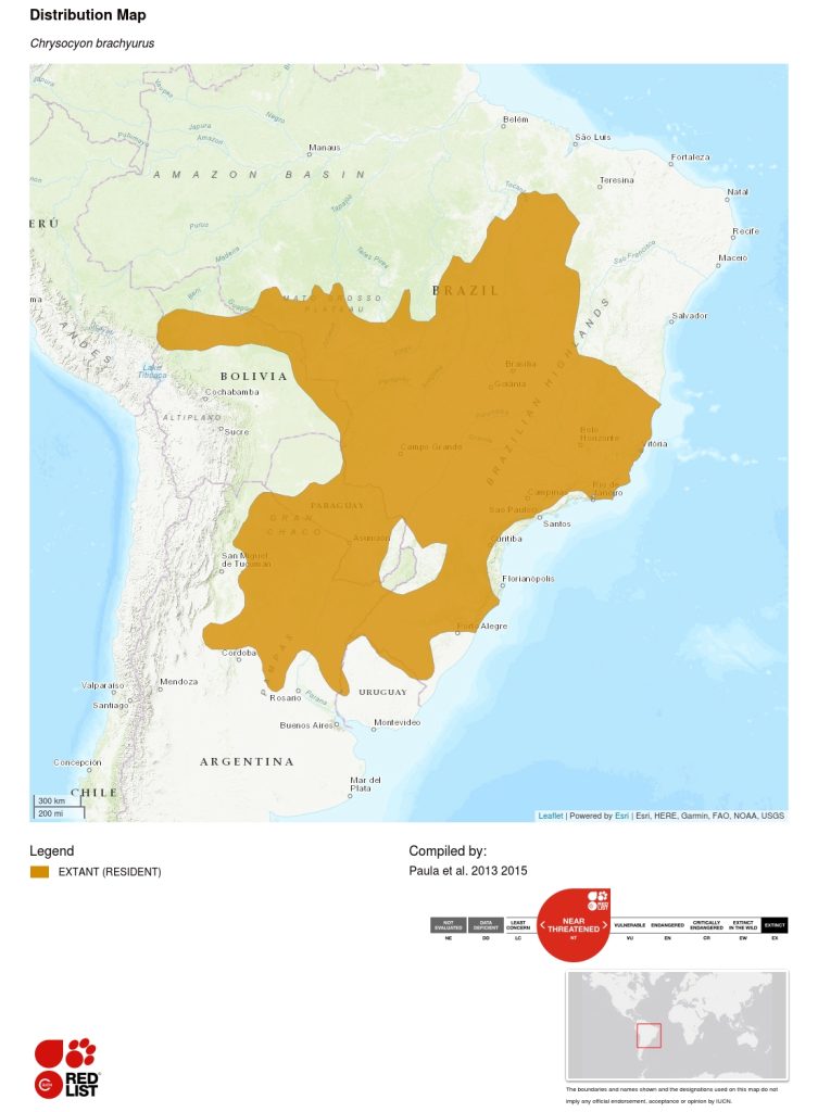 maned-wolf-map