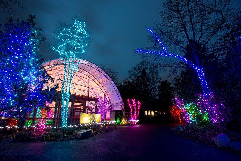 Enchanting lantern display at the WildLights holiday festival