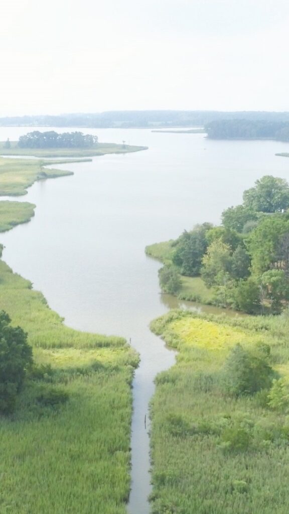 "The Cherished Chesapeake Bay: A Vital Cultural and Environmental 