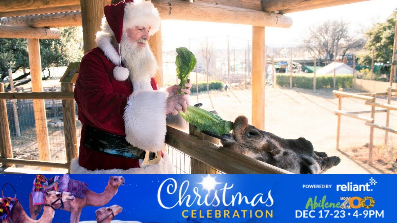 Abilene Zoo's 2021 Christmas Festivities! Uncategorized Zoo Guide