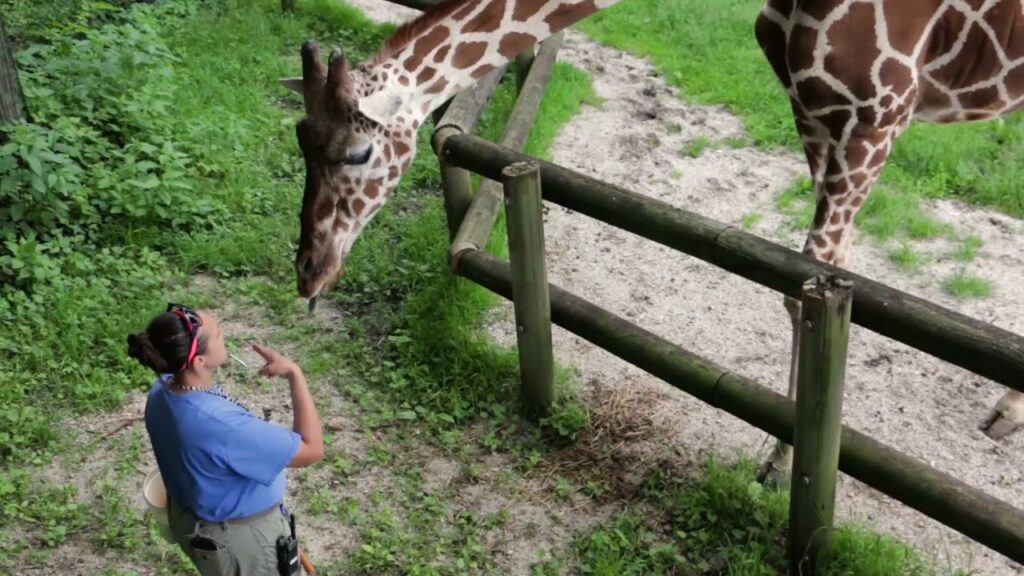 Zoo Endowment Video 2021 Blank Park Zoos USA Iowa Blank Park
