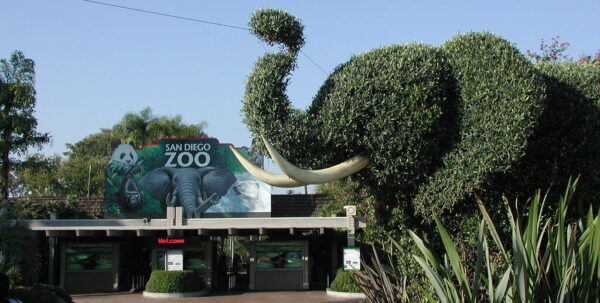 san diego zoo