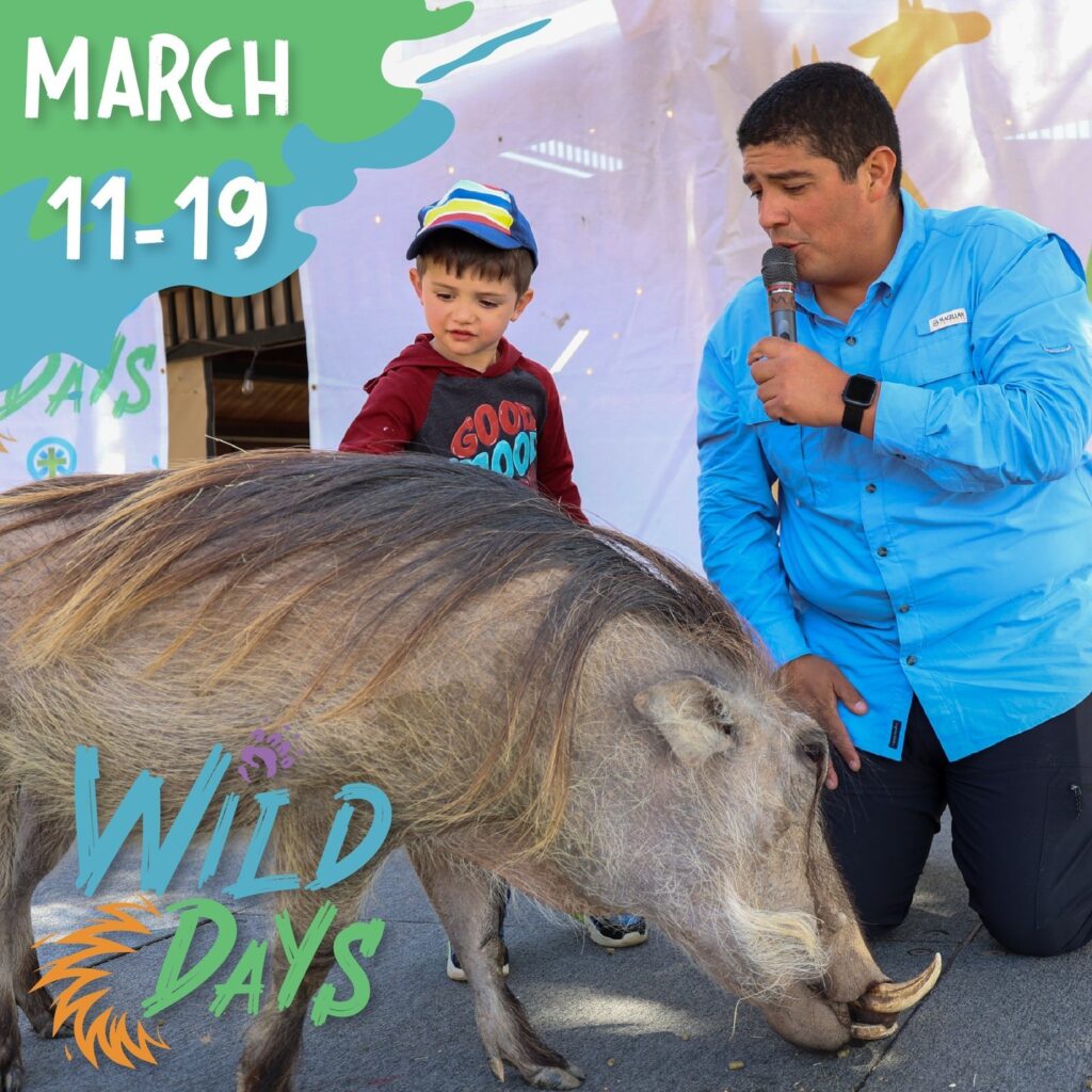 Get Up Close and Personal with the Wild Days Backstage Tour Zoo Guide
