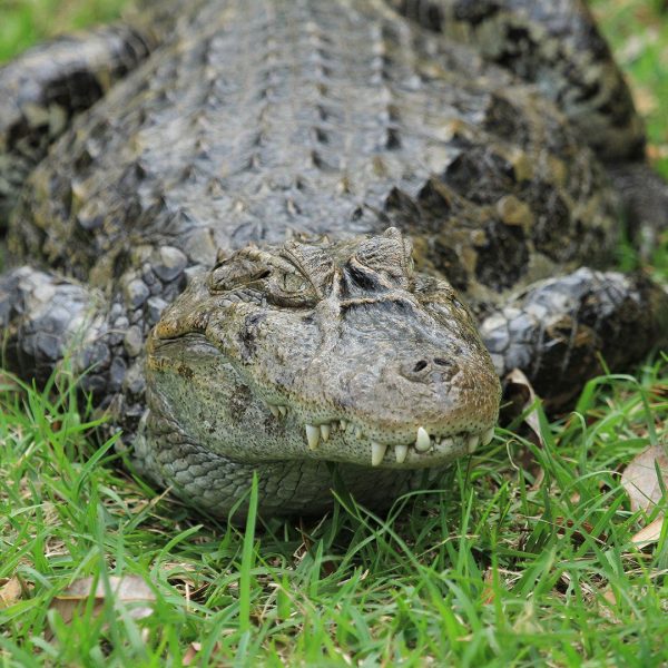 Keep My Water Clean... Or Else! Zoos USA Louisiana Alexandria