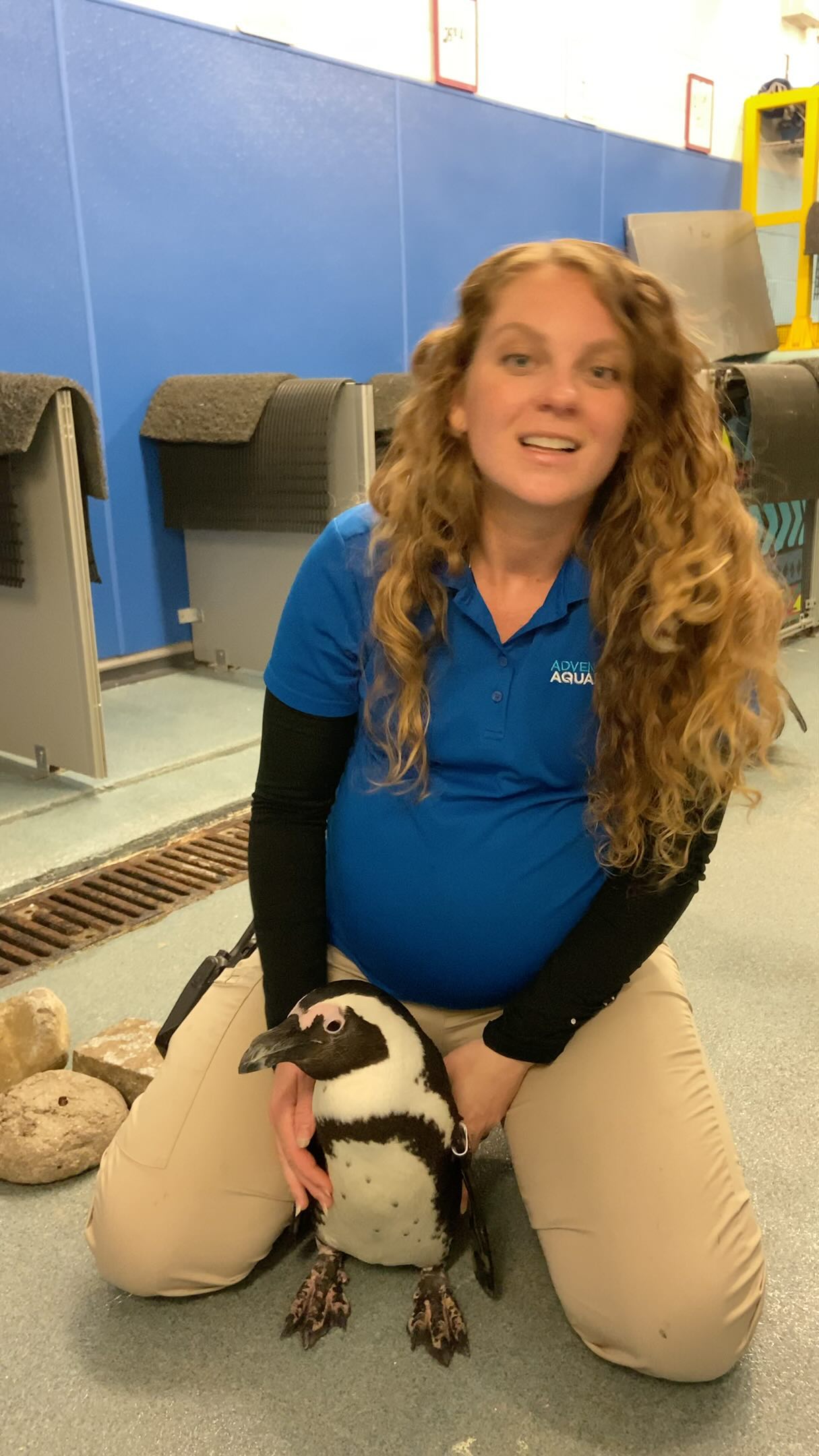 Discovering The World Of Penguins With Biologist Rachel And Vet Tech ...