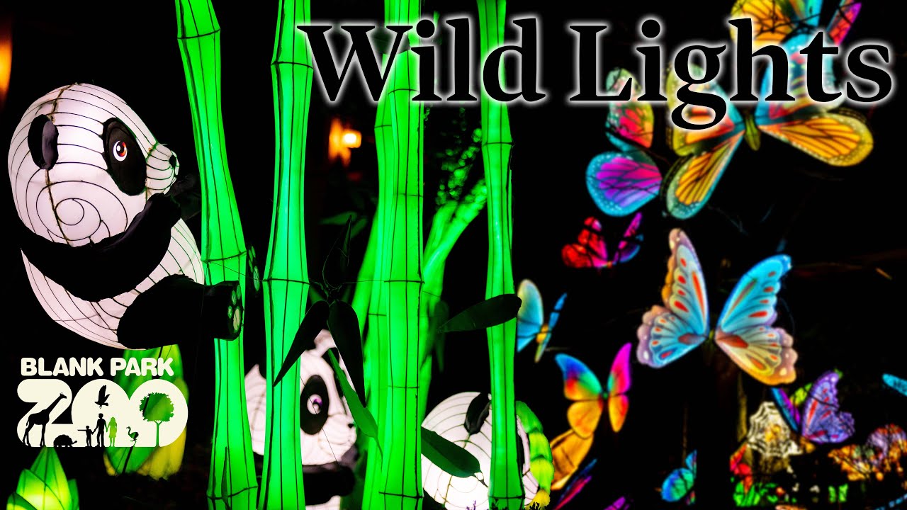 Wild Lights '23 At Blank Park Zoo Zoos USA Iowa Blank Park Zoo