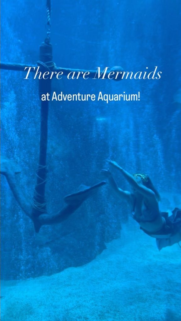 Meet RealLife Mermaids At The Aquarium! Zoos USA New Jersey