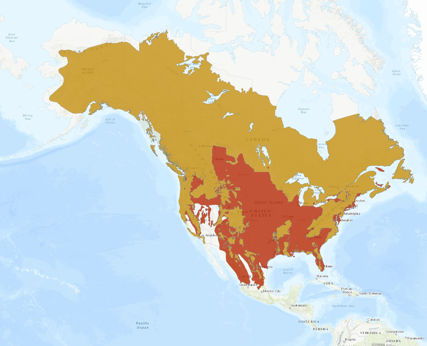 Definitive Guide To American Black Bear Facts Habitat Conservation Screenshot 2024 02 16 191022 