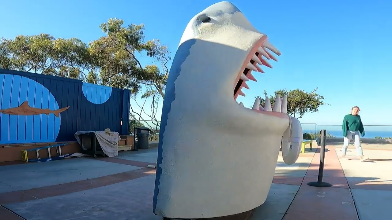 Birch Aquarium: Shark Head Returns! - Zoo Guide