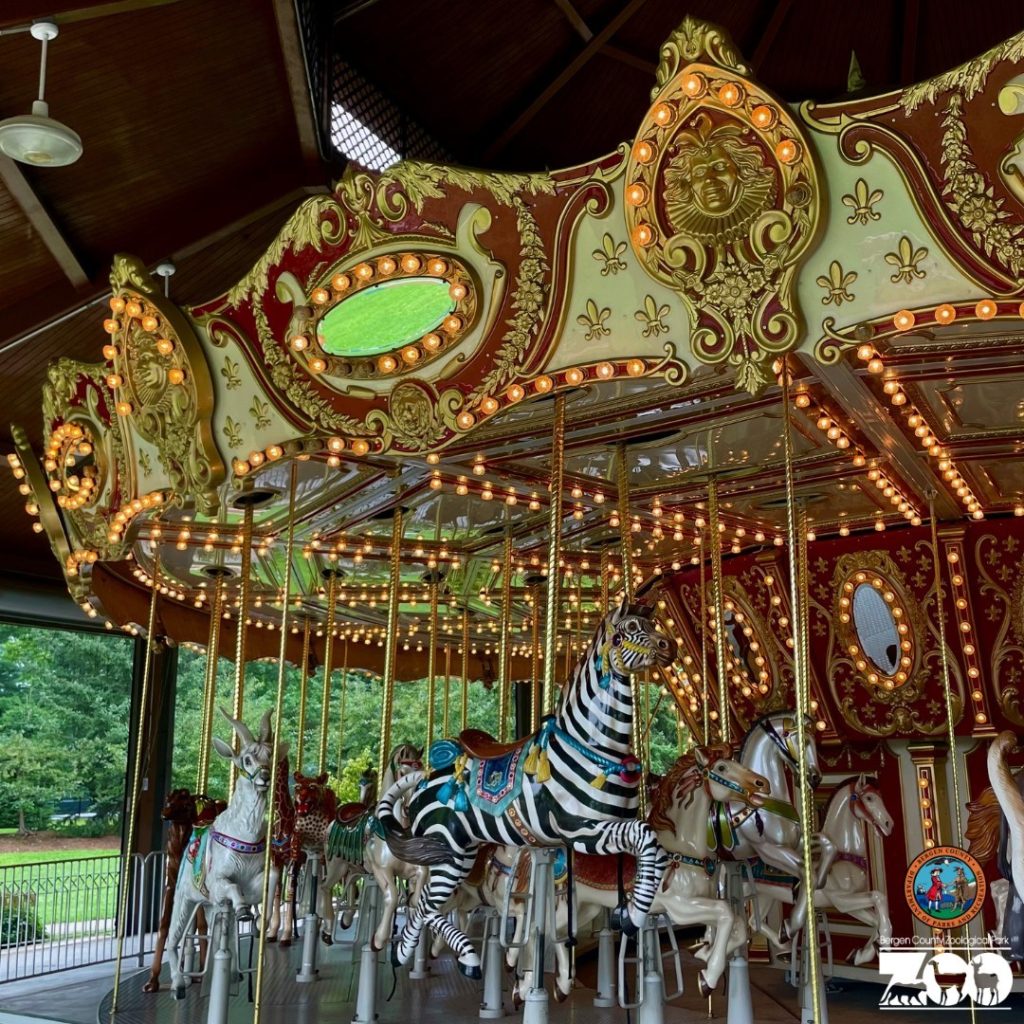 National Carousel Day 2025 - Caye Maegan