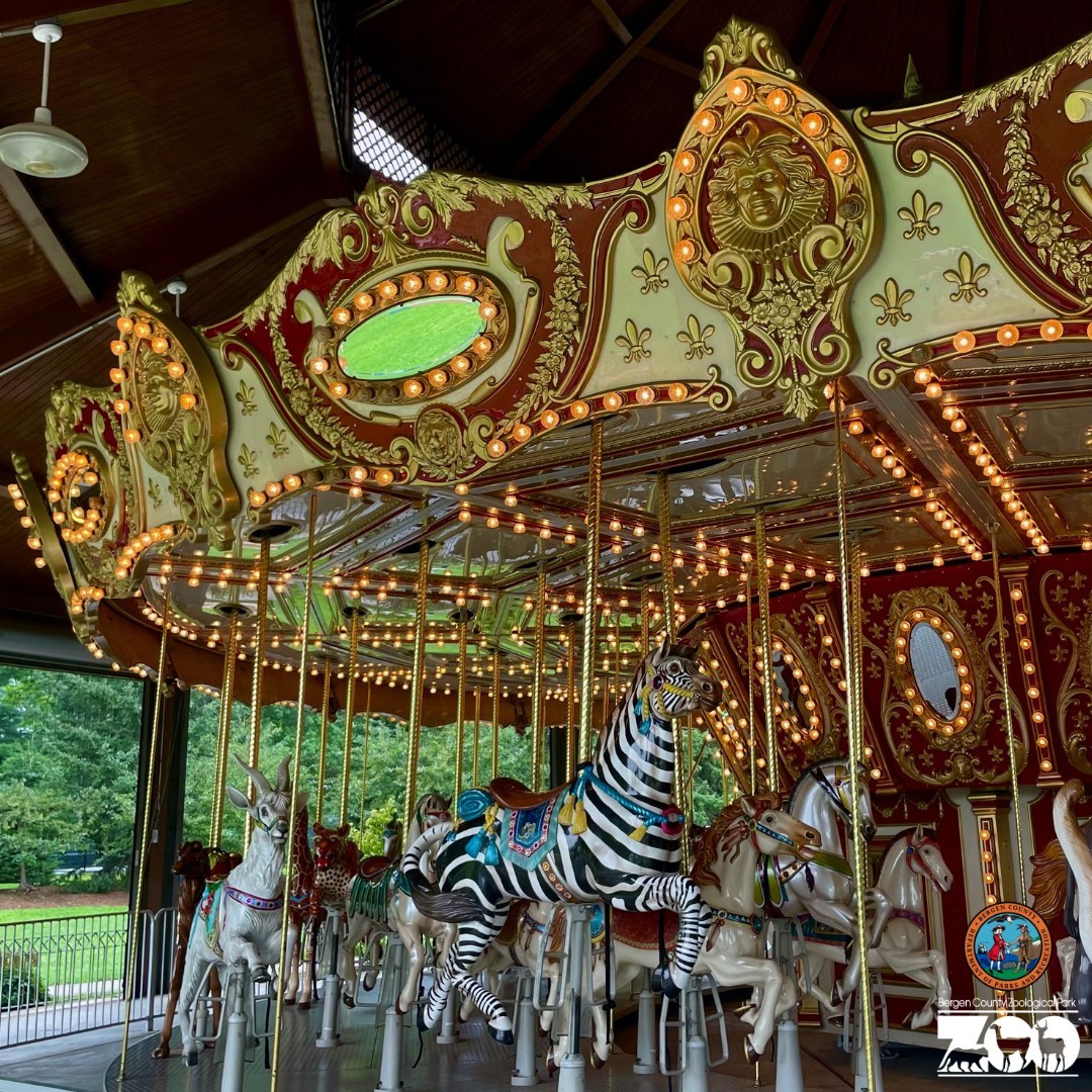 Celebrate National Carousel Day with our Millennium Carousel! Zoo Guide