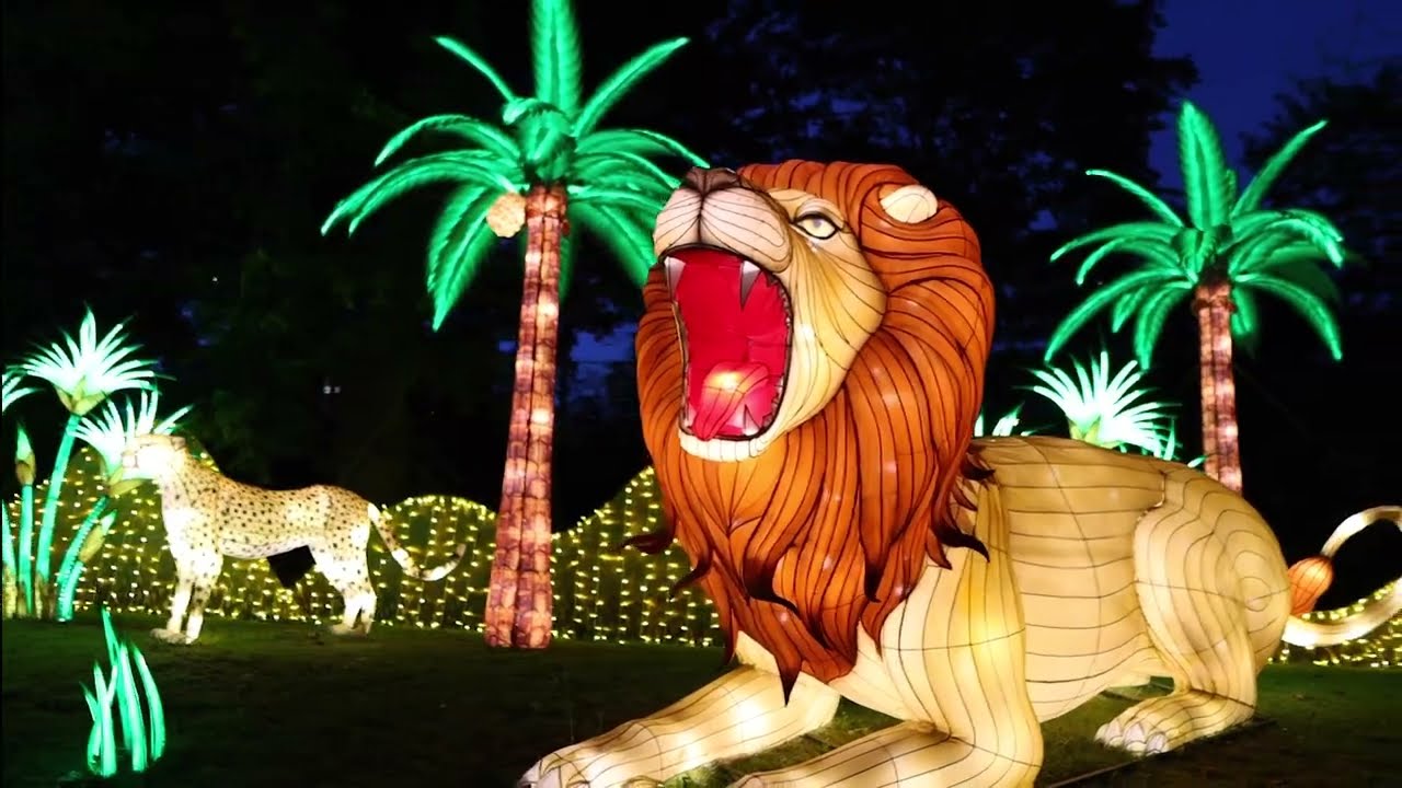 Experience Boston Lights: Lantern Extravaganza! - Franklin Park Zoo Zoo ...