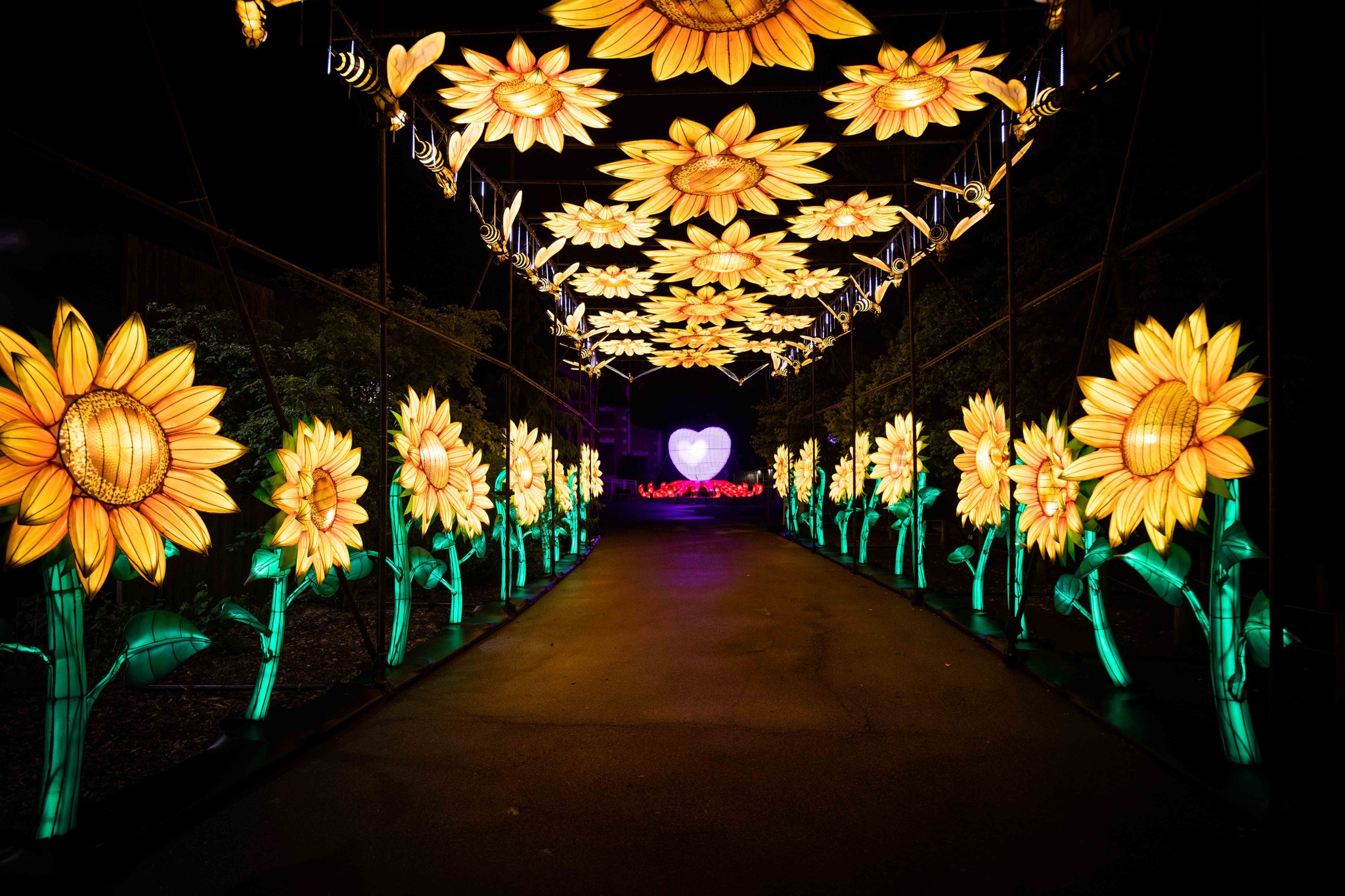 Join us this weekend for Zoomagination Festival of Lanterns & Lights