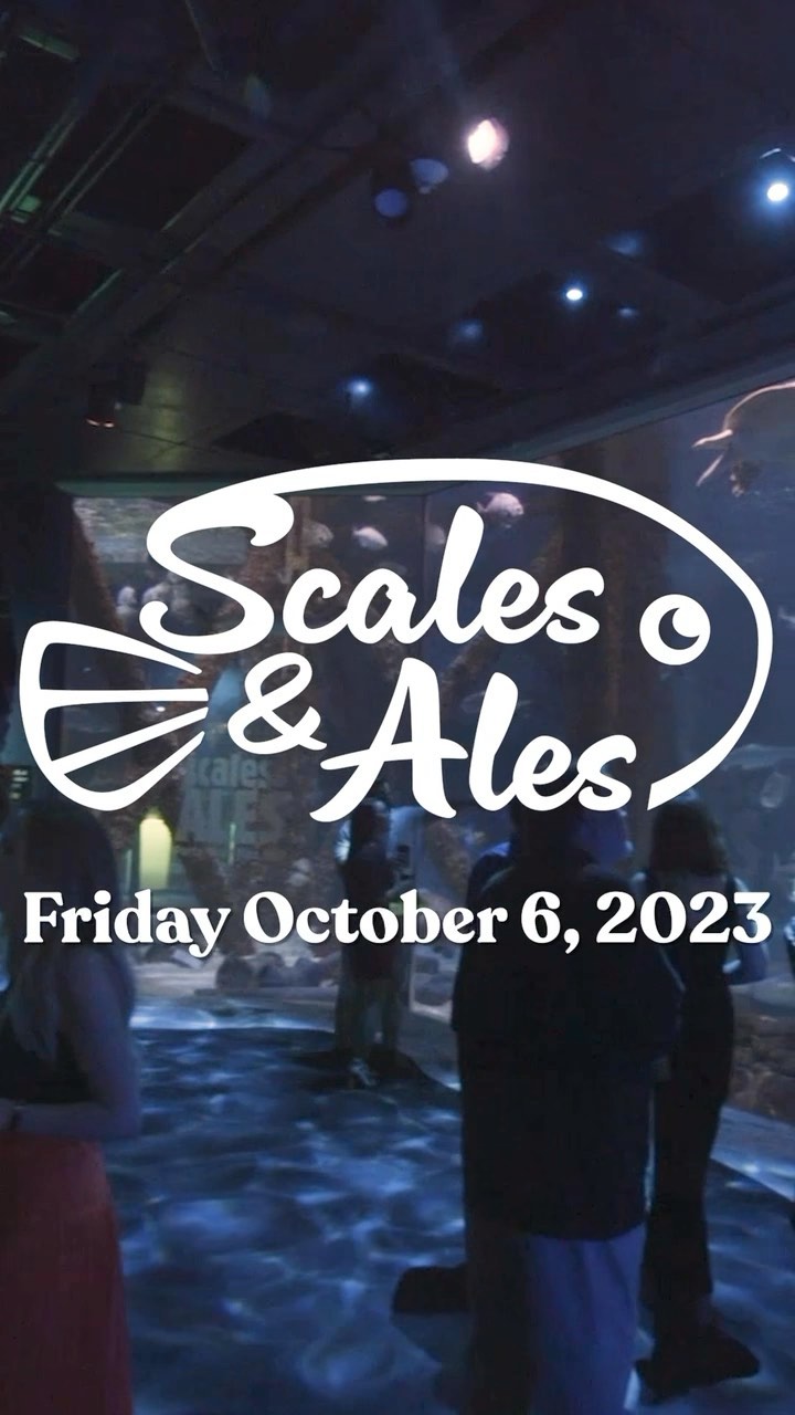 Scales & Ales Get Ready to Shellabrate! Zoo Guide