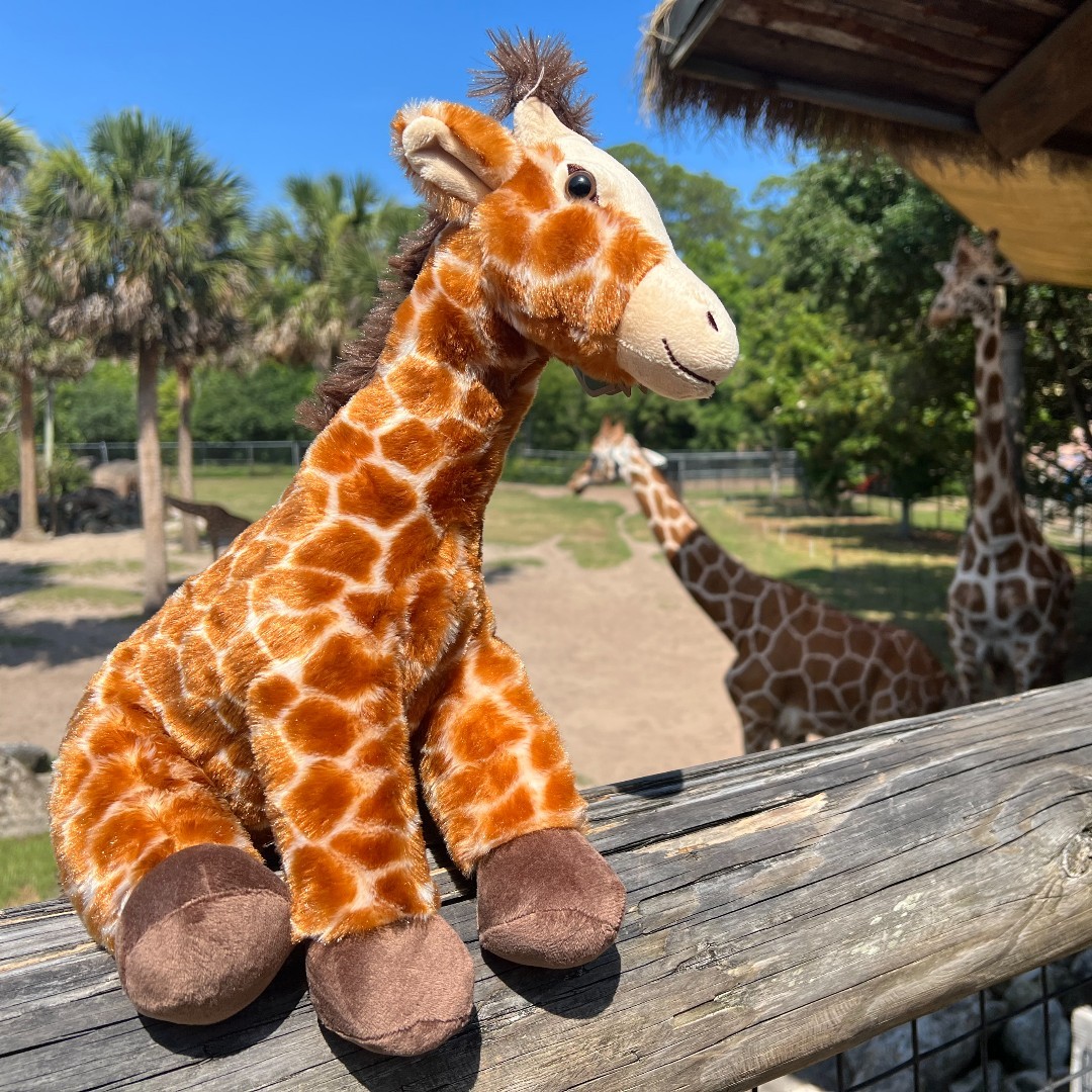 Celebrate World Giraffe Day! Show Support By Symbolically Adopting