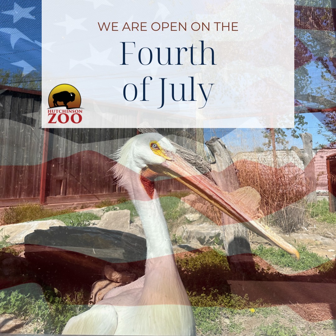 Hometown Hutchinson Zoo Open on 4th of July 10am to ... - Zoo Guide