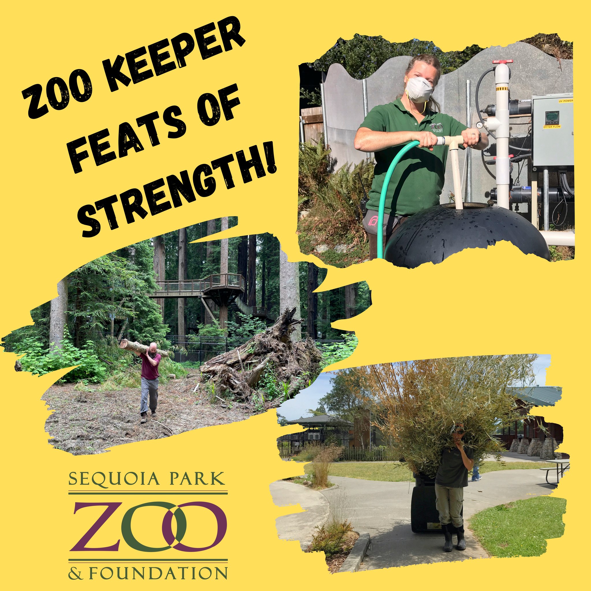 Last Day of National Zoo Keeper Week: Fun Facts About Our Zoo Keeper ...