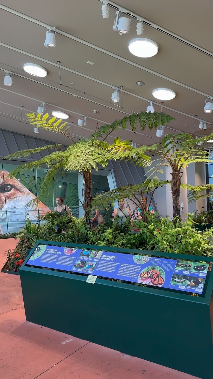 Audubon Insectarium's Stunning Butterfly Garden: Serene & Gorgeous With ...