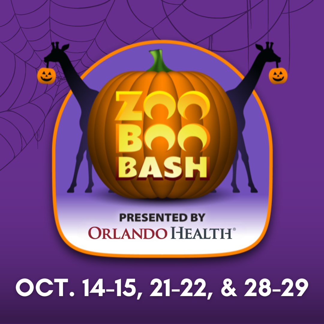 Zoo Boo Bash October's Wildest Trick or Treat Spot Zoo Guide