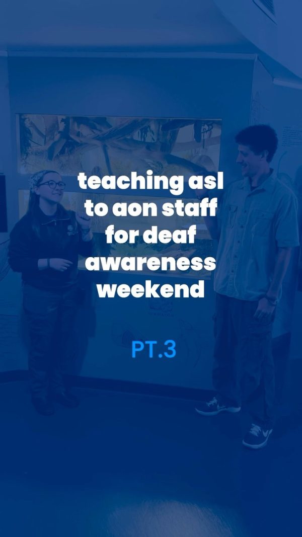 Staff Learning ASL Part 3: Deaf Awareness Weekend Approaches - Aquarium ...