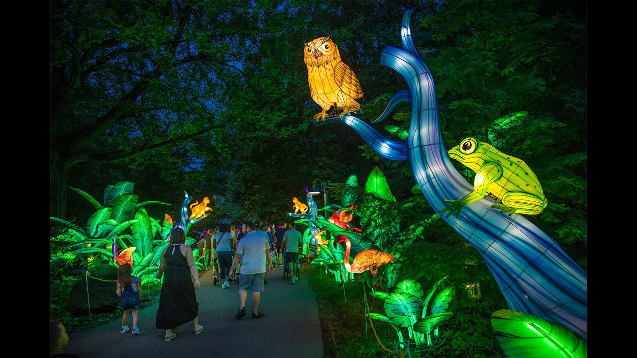 Boston Lights Franklin Park Zoo 2024 - Correy Coretta