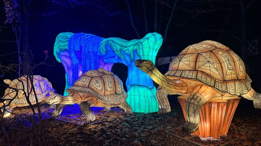 Tickets On Sale For IllumiNights At The Zoo By Georgia Power - Zoos ...