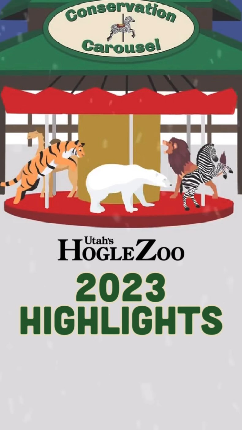 Hogle Zoo 2023 Highlights A Year Of Laughs Hogle Zoo Zoo Guide