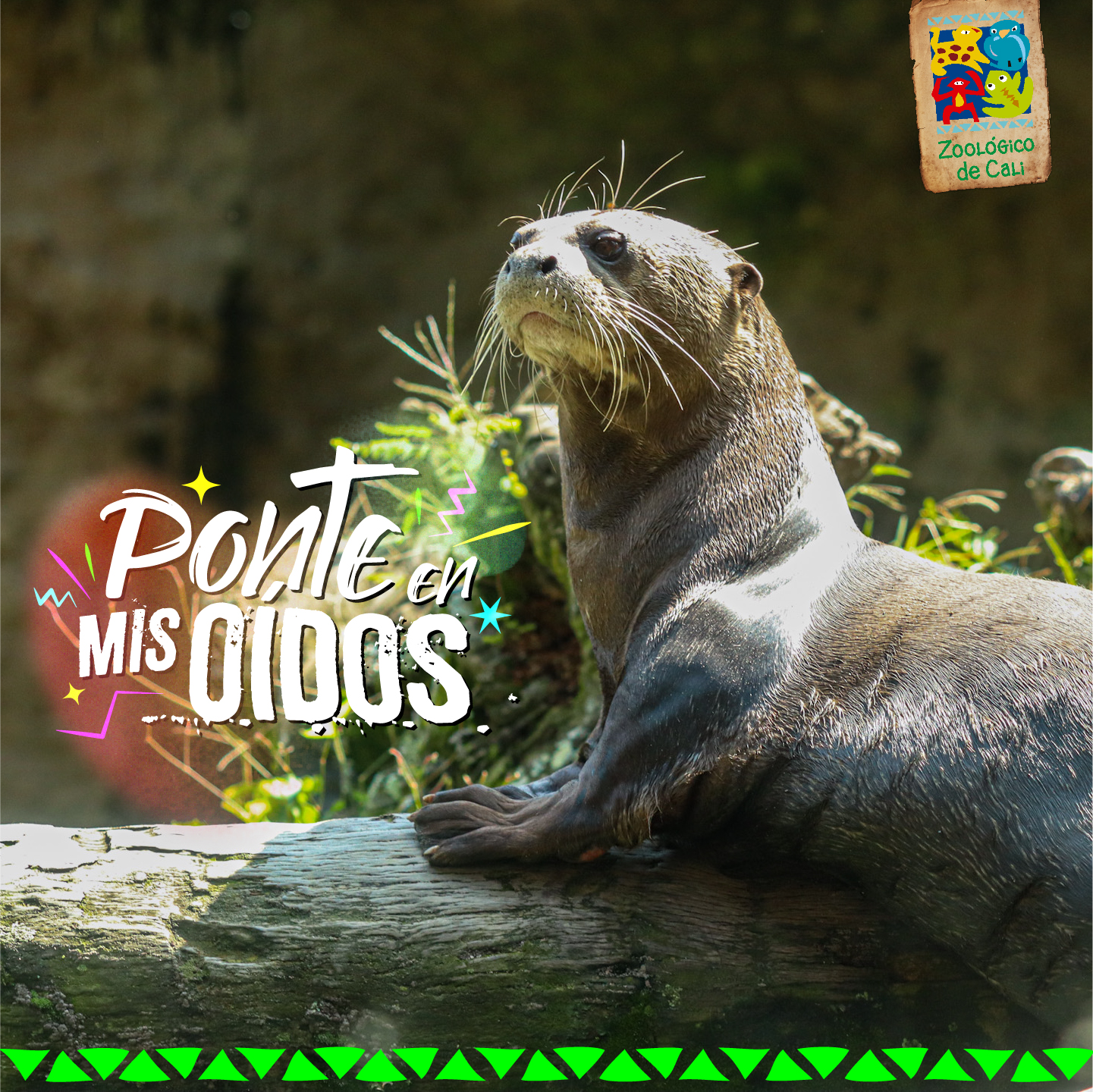 Zoos - South America Archives - Zoo Guide