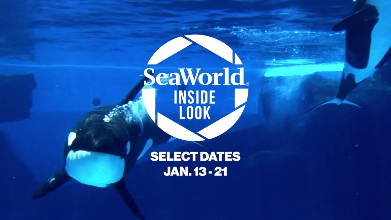 2024 SeaWorld San Diego Insider Zoo Guide