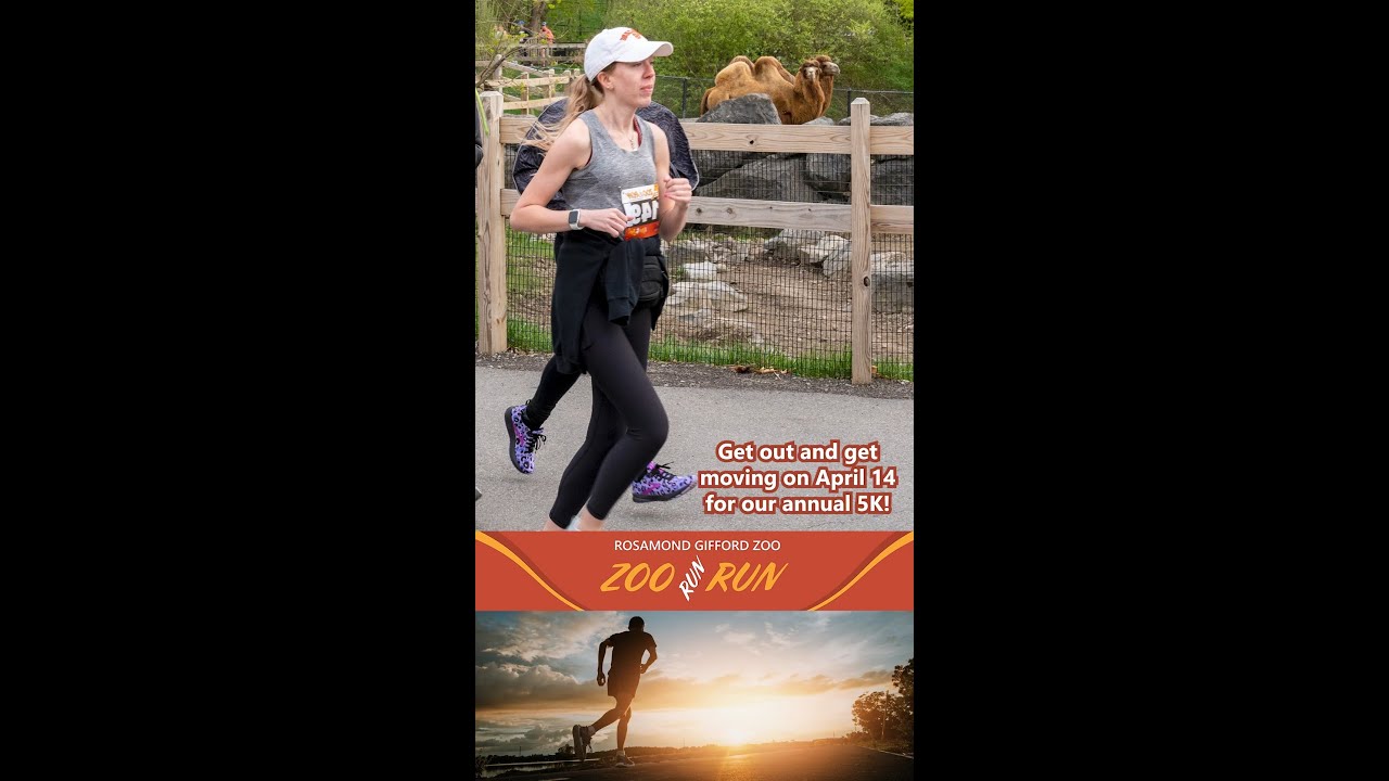 Run Wild At Zoo Run 2024! Zoo Guide