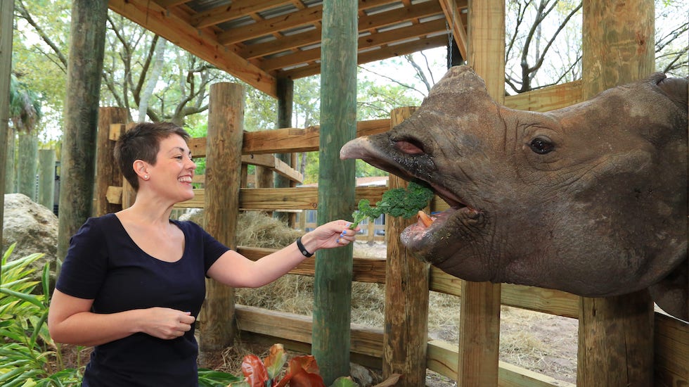 rhino feeding