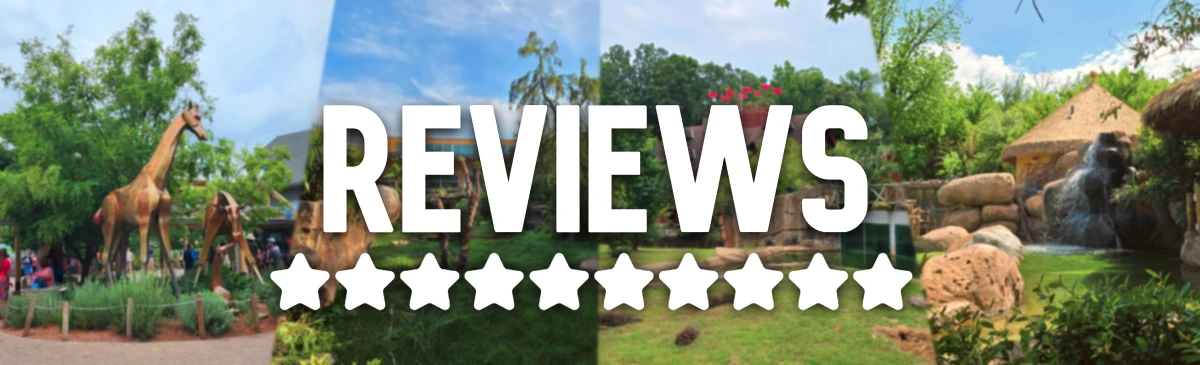 Reviews