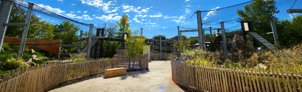 Zoo Walkthroughs