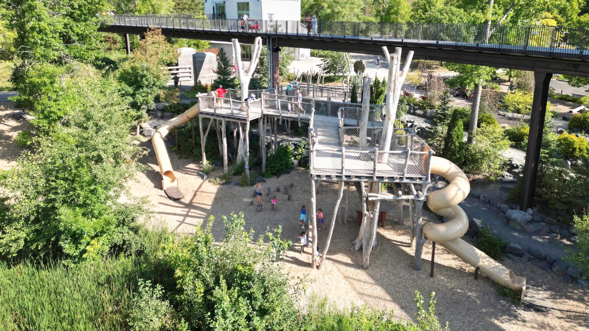 Children Activities