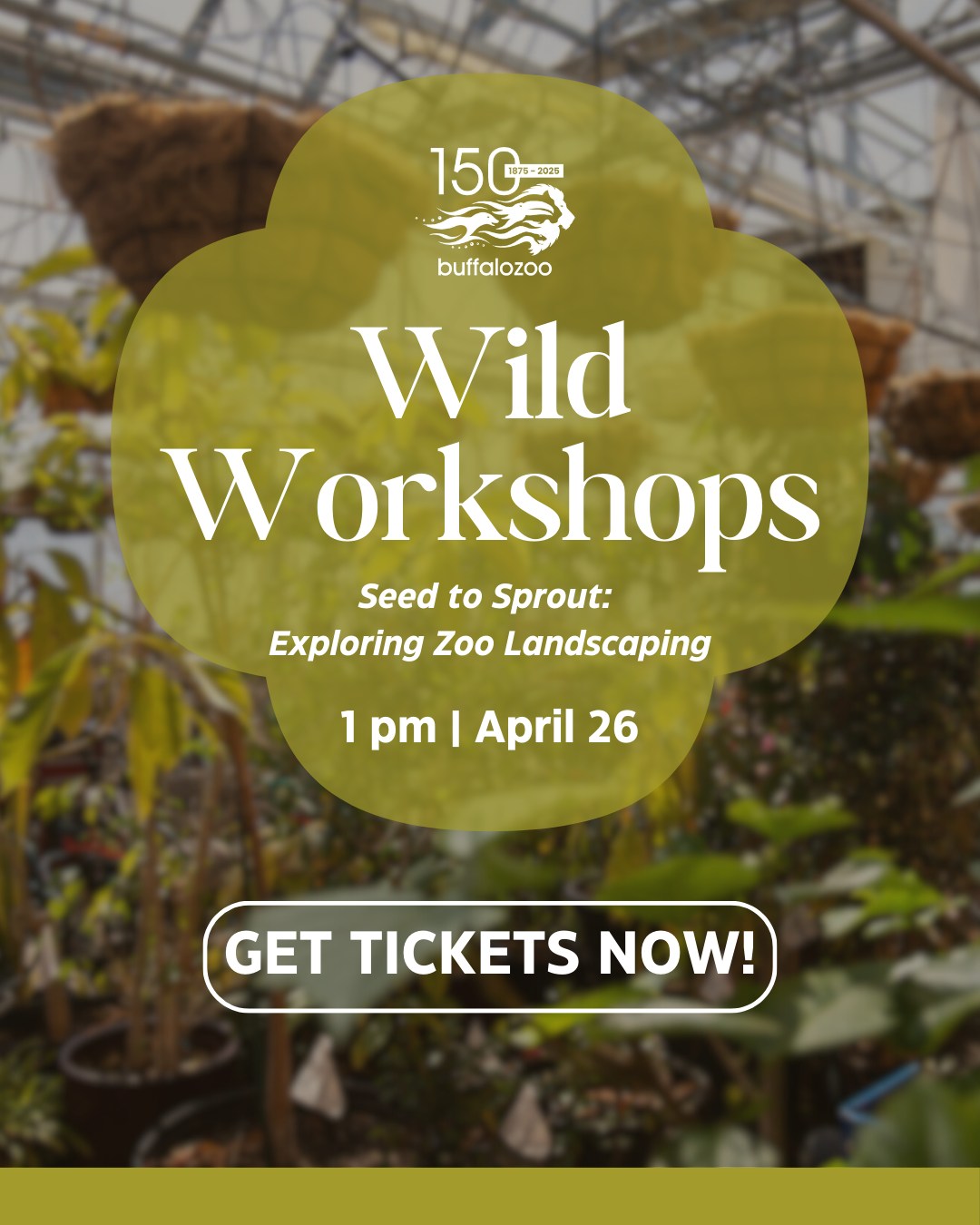 492007481 1070445345129840 5132002929772723589 n