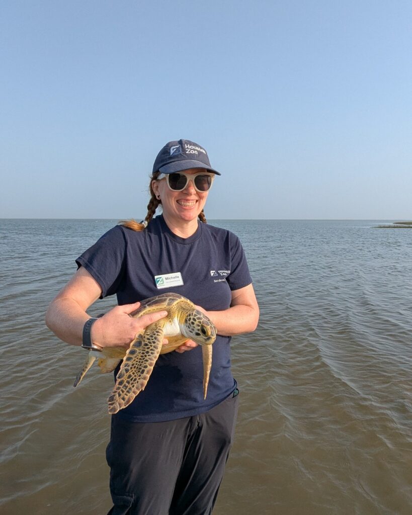 The Joy Of Releasing A Sea Turtle Into The Wild For The First Time ...